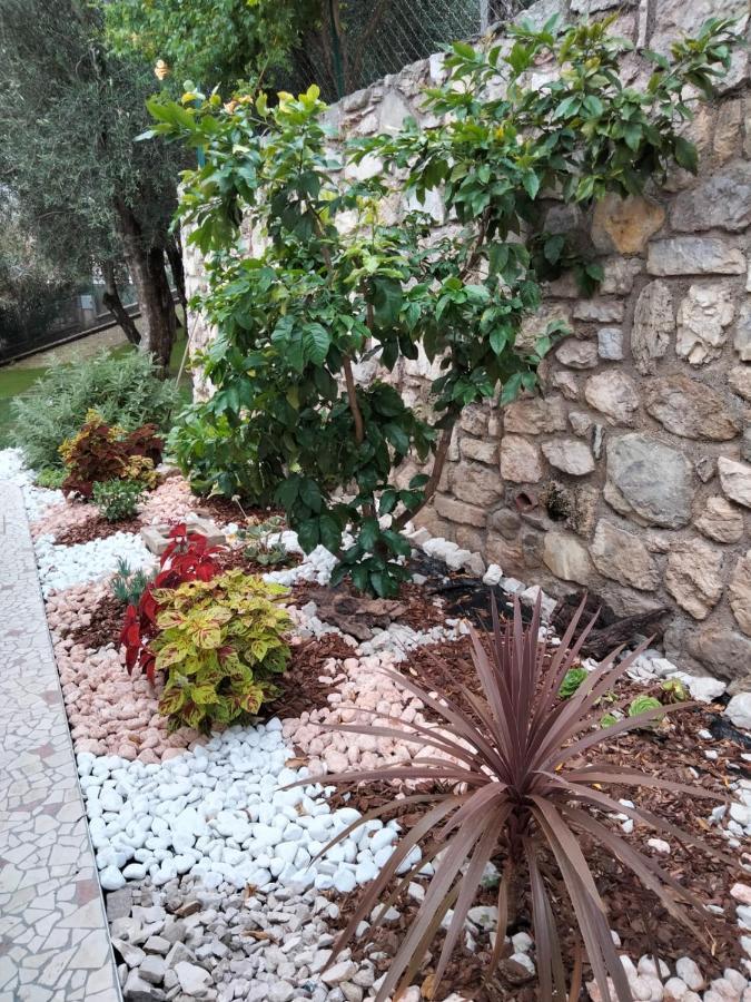 לימונה סול גרדה La Casa Sul Lago Apartments - Lemon Tree Apartment מראה חיצוני תמונה